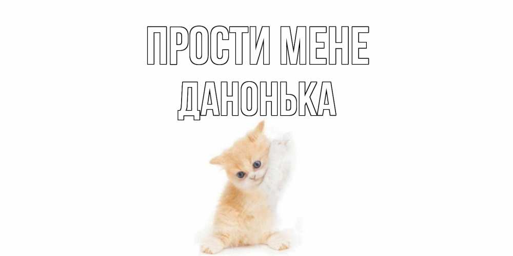 Открытка на каждый день з підписом, Данонька Прости мене кот Прикольна листівка з побажанням онлайн скачати безкоштовно 