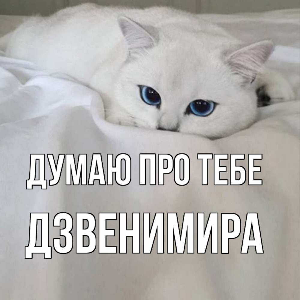 Открытка на каждый день з підписом, Дзвенимира Думаю про тебе я очень по тебе скучаю и тоскую Прикольна листівка з побажанням онлайн скачати безкоштовно 