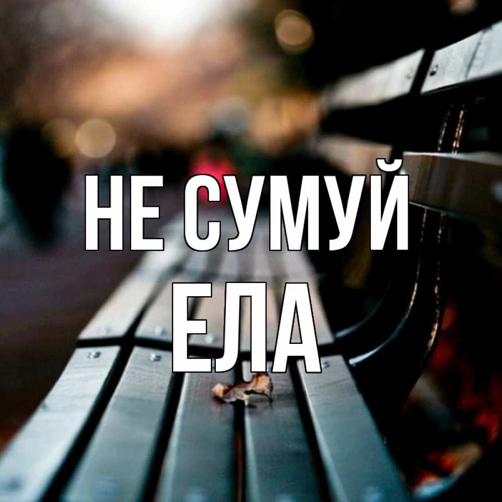 Открытка на каждый день з підписом, Ела Не сумуй размытый фон Прикольна листівка з побажанням онлайн скачати безкоштовно 