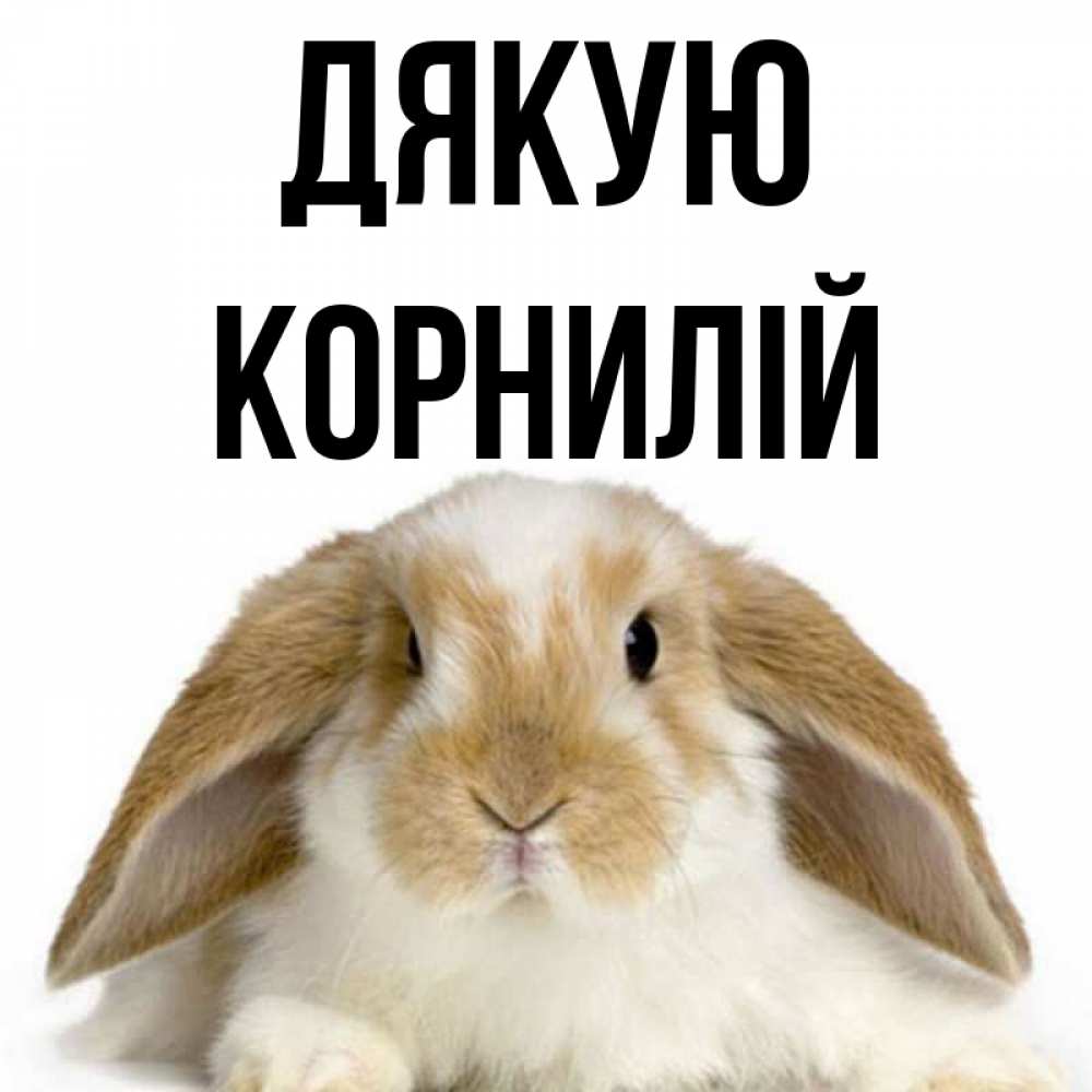 Открытка на каждый день з підписом, Корнилій Дякую коричнево белый заяц Прикольна листівка з побажанням онлайн скачати безкоштовно 