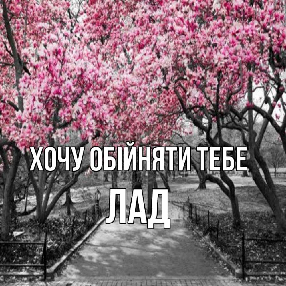Открытка на каждый день з підписом, Лад Хочу обійняти тебе обработанное фото Прикольна листівка з побажанням онлайн скачати безкоштовно 