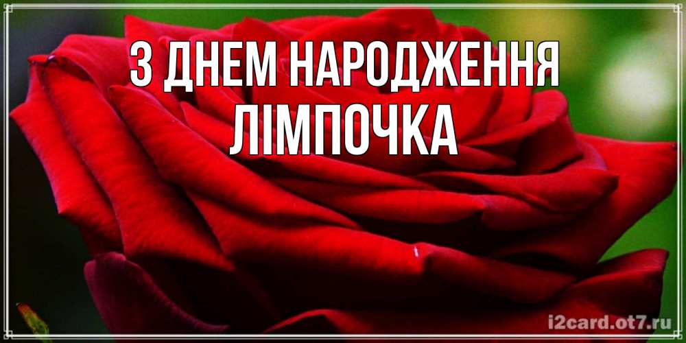 Открытка на каждый день з підписом, Лімпочка З Днем народження розочка очень красивая Прикольна листівка з побажанням онлайн скачати безкоштовно 
