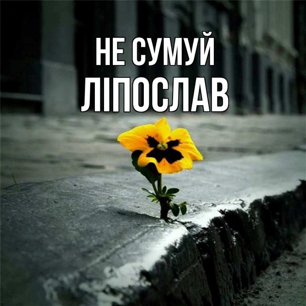 Открытка на каждый день з підписом, Ліпослав Не сумуй не сдавайся Прикольна листівка з побажанням онлайн скачати безкоштовно 