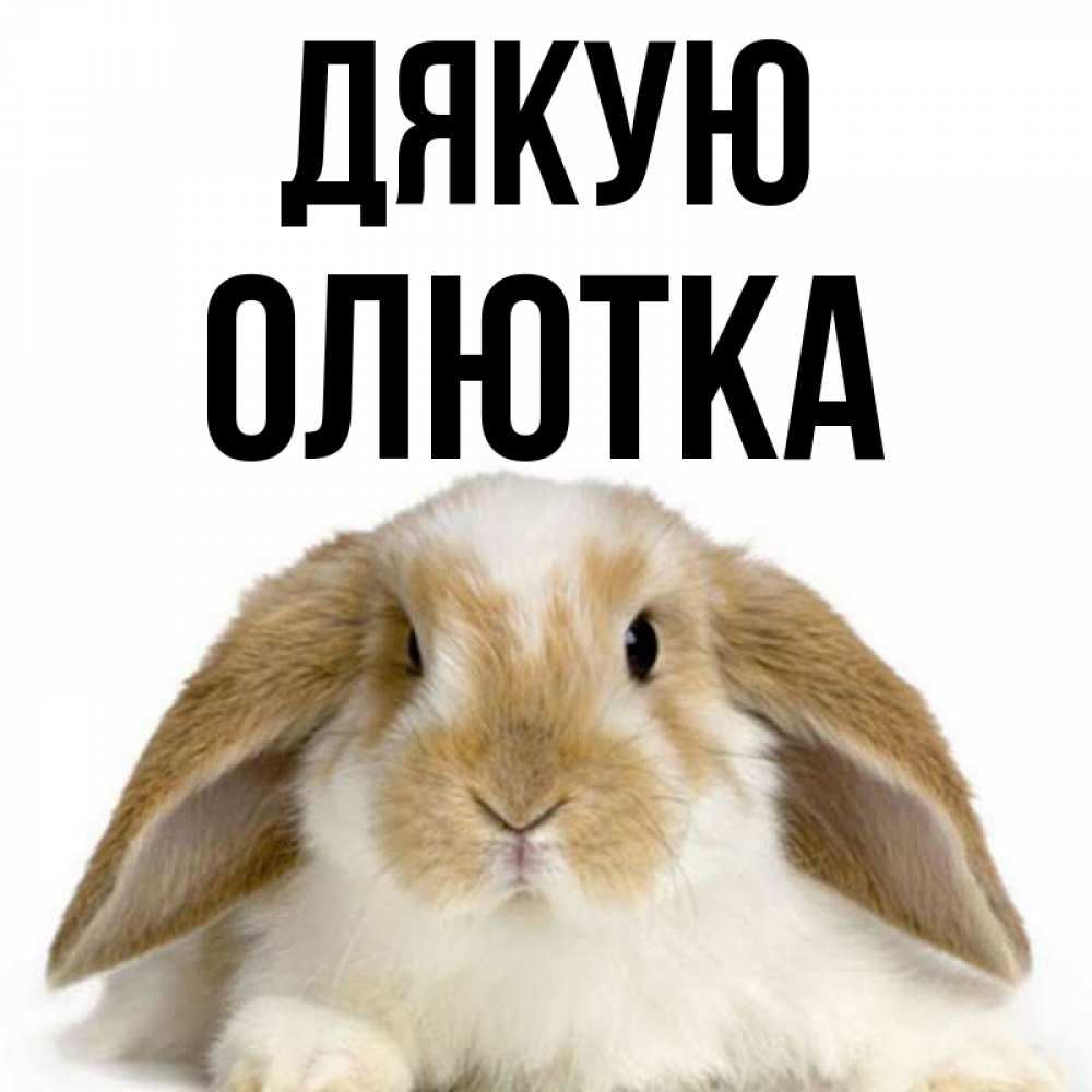 Открытка на каждый день з підписом, Олютка Дякую коричнево белый заяц Прикольна листівка з побажанням онлайн скачати безкоштовно 