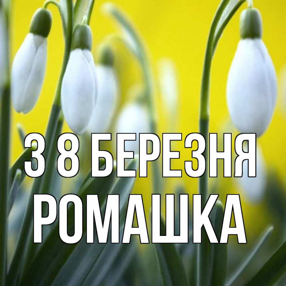Открытка на каждый день з підписом, Ромашка З 8 БЕРЕЗНЯ весенние цветы Прикольна листівка з побажанням онлайн скачати безкоштовно 