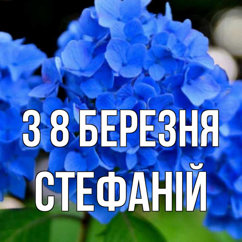 Открытка на каждый день з підписом, Стефаній З 8 БЕРЕЗНЯ синие цветы Прикольна листівка з побажанням онлайн скачати безкоштовно 