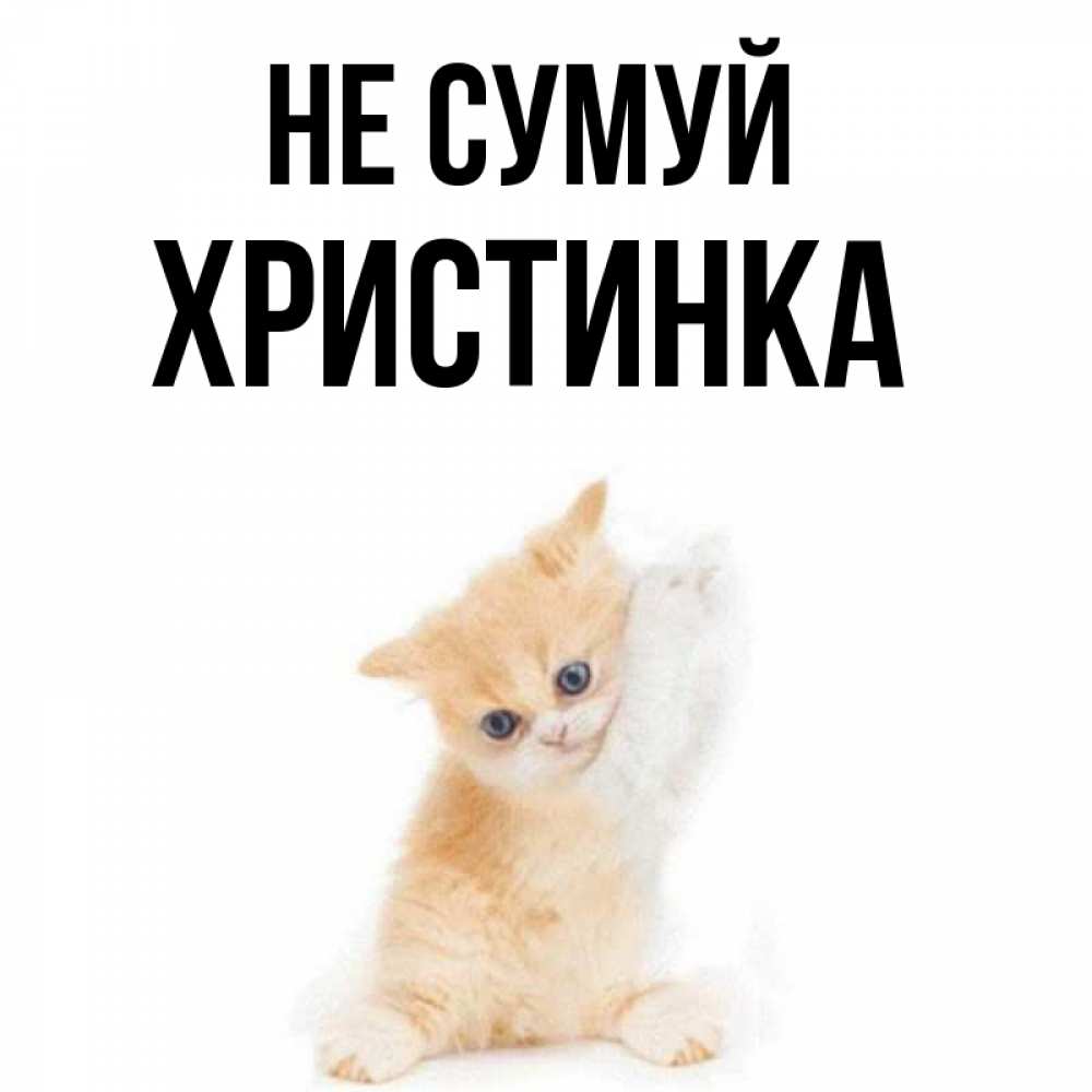 Открытка на каждый день з підписом, Христинка Не сумуй просящий кот Прикольна листівка з побажанням онлайн скачати безкоштовно 