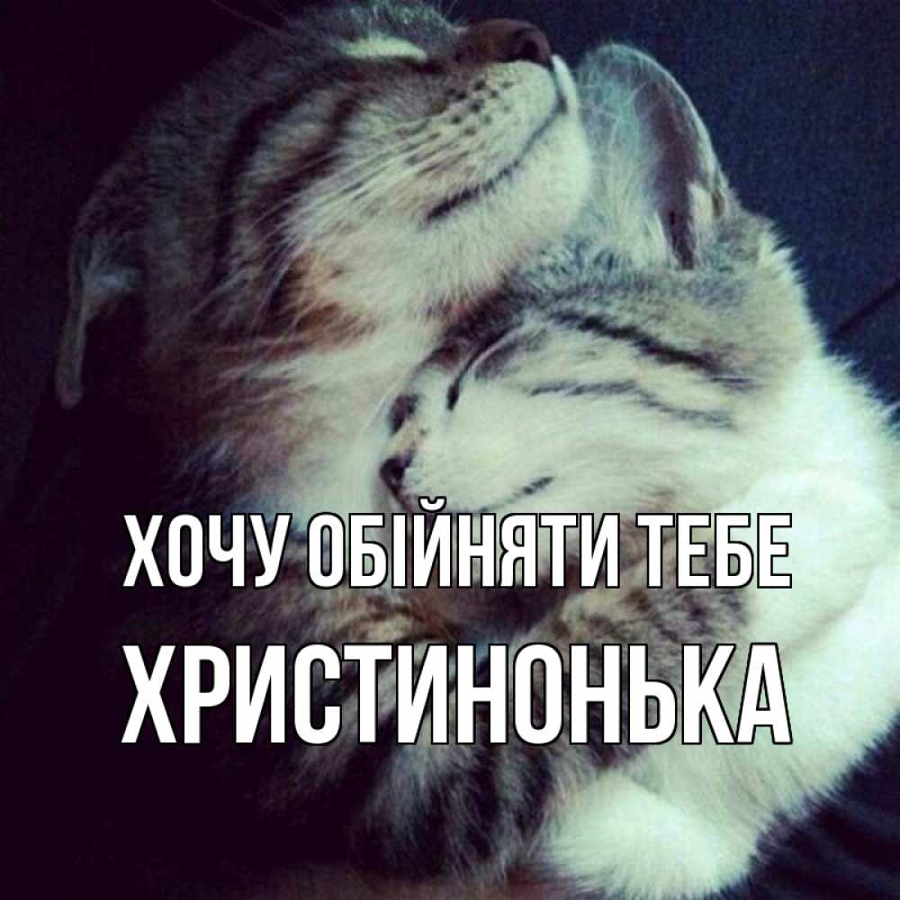 Открытка на каждый день з підписом, Христинонька Хочу обійняти тебе полосатики Прикольна листівка з побажанням онлайн скачати безкоштовно 