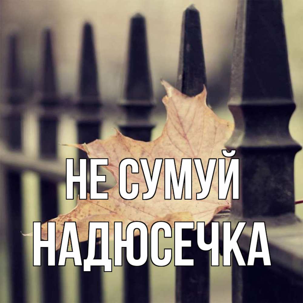 Открытка на каждый день з підписом, Надюсечка Не сумуй лист клена Прикольна листівка з побажанням онлайн скачати безкоштовно 