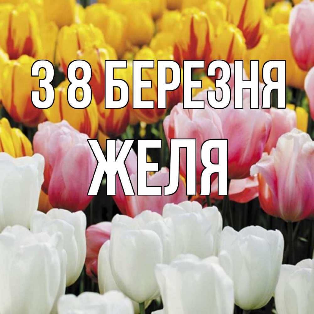 Открытка на каждый день з підписом, Желя З 8 БЕРЕЗНЯ разноцветные цветы Прикольна листівка з побажанням онлайн скачати безкоштовно 