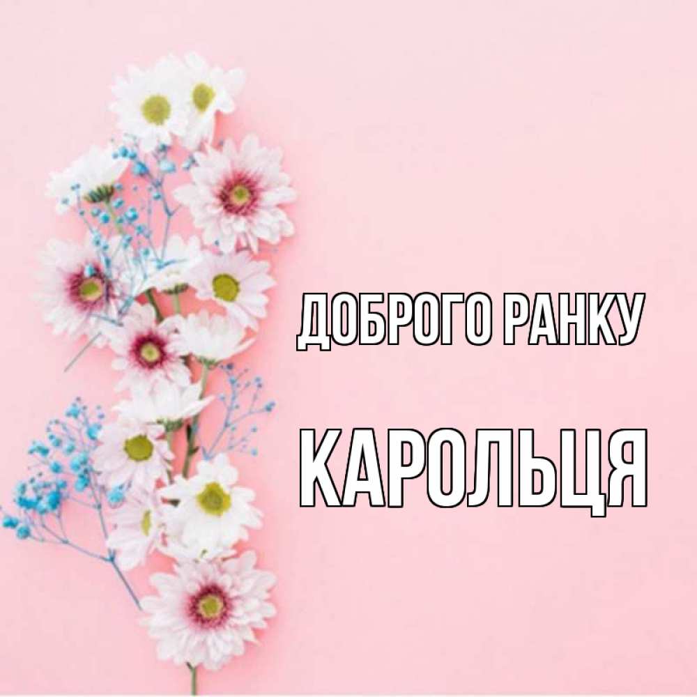 Открытка на каждый день з підписом, Карольця Доброго ранку цветы с подписью Прикольна листівка з побажанням онлайн скачати безкоштовно 