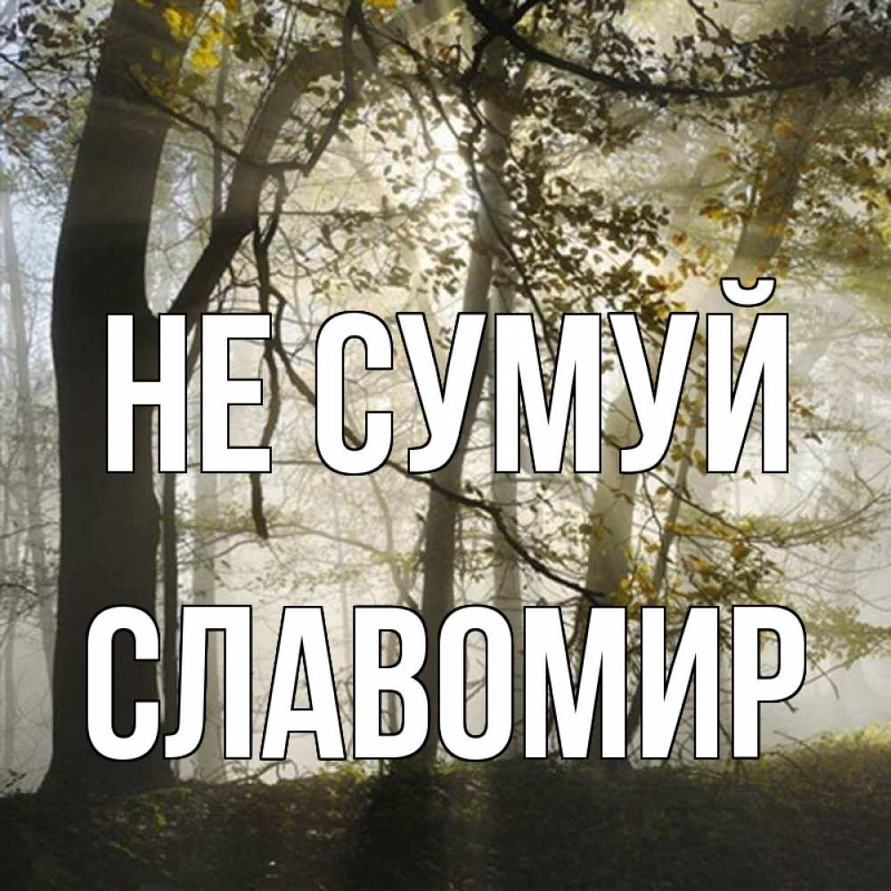 Открытка на каждый день з підписом, Славомир Не сумуй лес и свет Прикольна листівка з побажанням онлайн скачати безкоштовно 