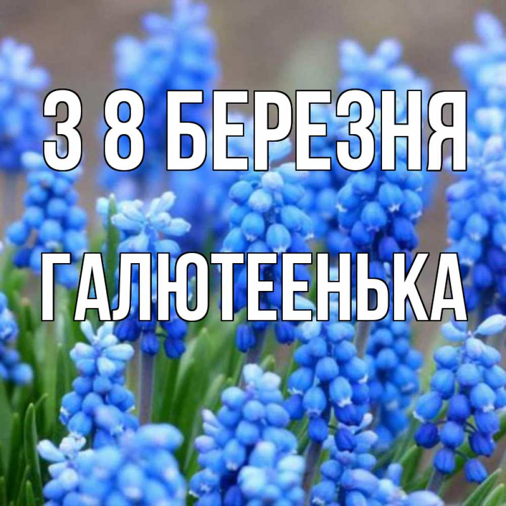 Открытка на каждый день з підписом, Галютеенька З 8 БЕРЕЗНЯ Поздравительная открытка для женщин с цветами на праздничную дату Прикольна листівка з побажанням онлайн скачати безкоштовно 