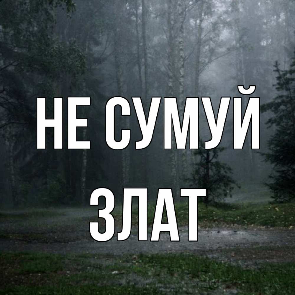 Открытка на каждый день з підписом, Злат Не сумуй осень Прикольна листівка з побажанням онлайн скачати безкоштовно 