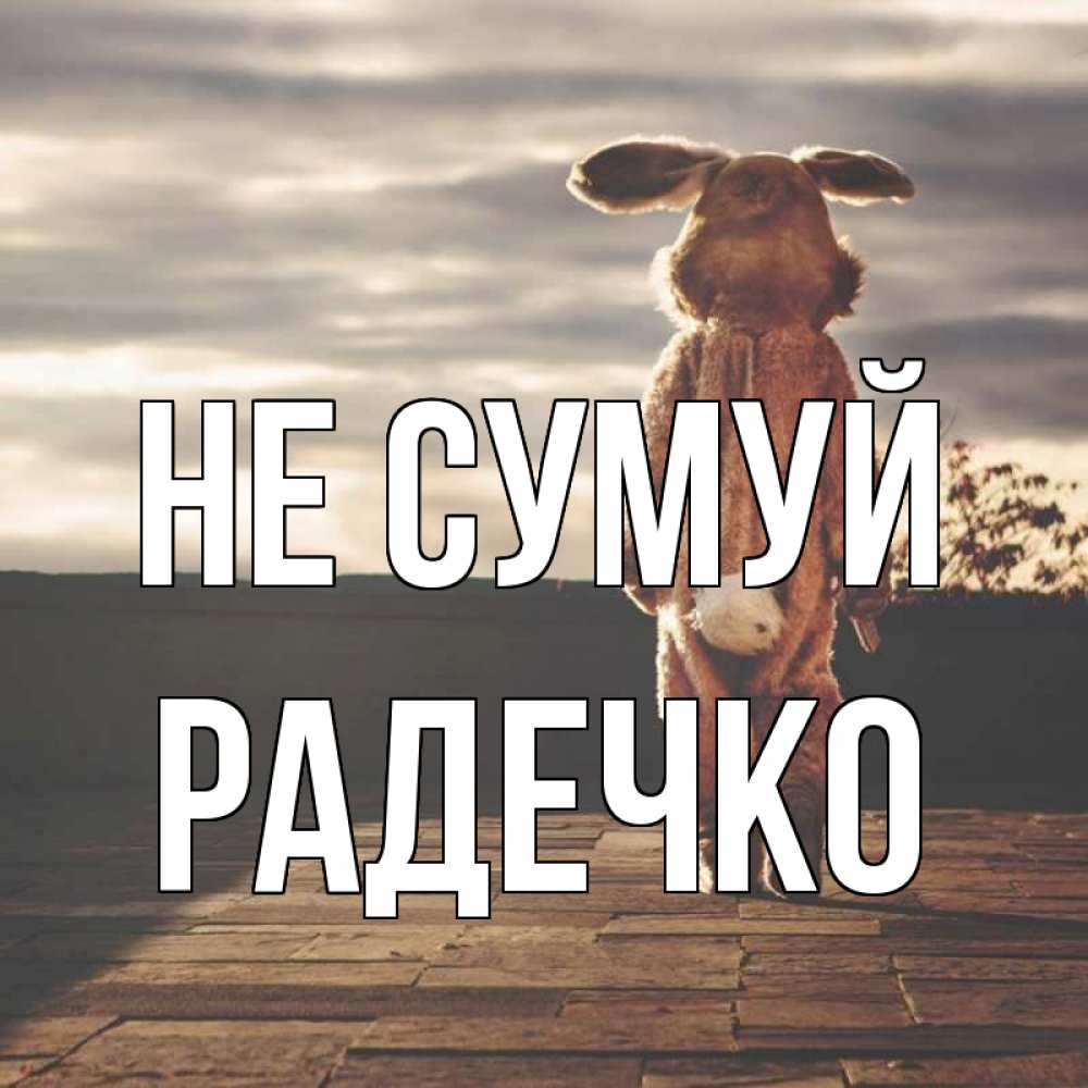 Открытка на каждый день з підписом, Радечко Не сумуй со спины Прикольна листівка з побажанням онлайн скачати безкоштовно 