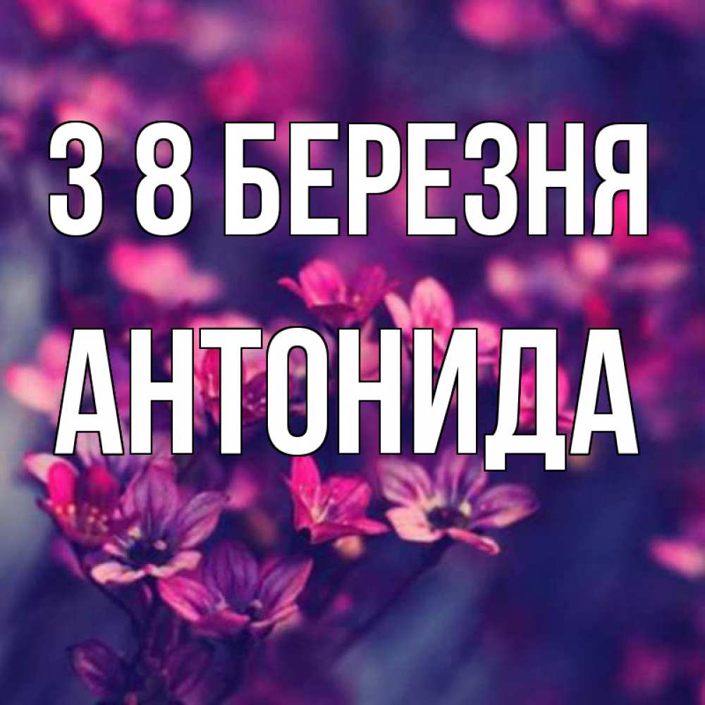 Открытка на каждый день з підписом, Антонида З 8 БЕРЕЗНЯ небольшие цветы 1 Прикольна листівка з побажанням онлайн скачати безкоштовно 