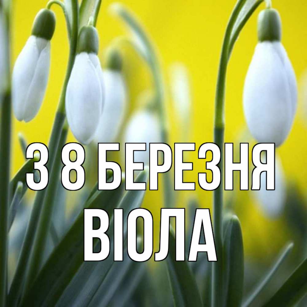 Открытка на каждый день з підписом, Віола З 8 БЕРЕЗНЯ весенние цветы Прикольна листівка з побажанням онлайн скачати безкоштовно 