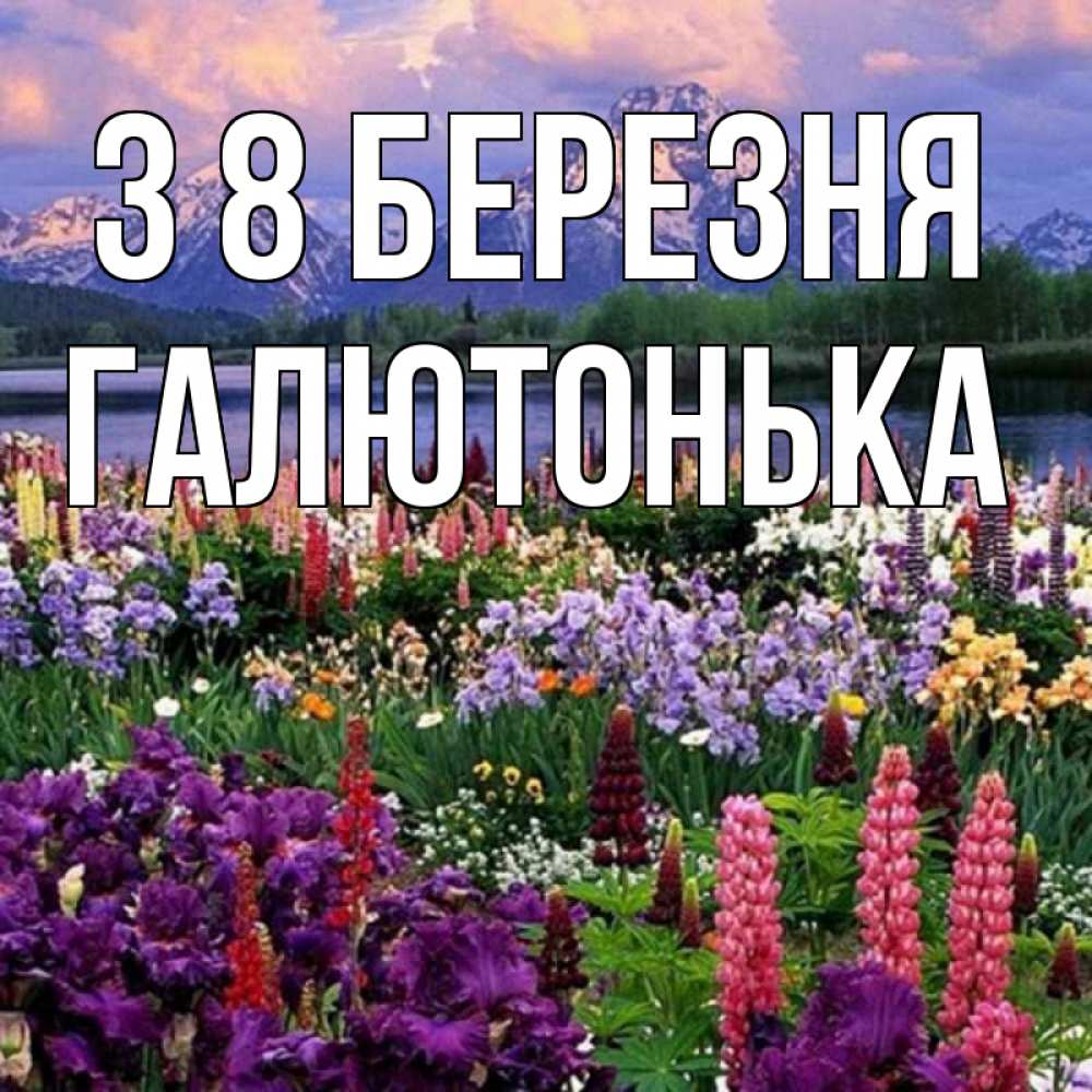 Открытка на каждый день з підписом, Галютонька З 8 БЕРЕЗНЯ международный женский день Прикольна листівка з побажанням онлайн скачати безкоштовно 