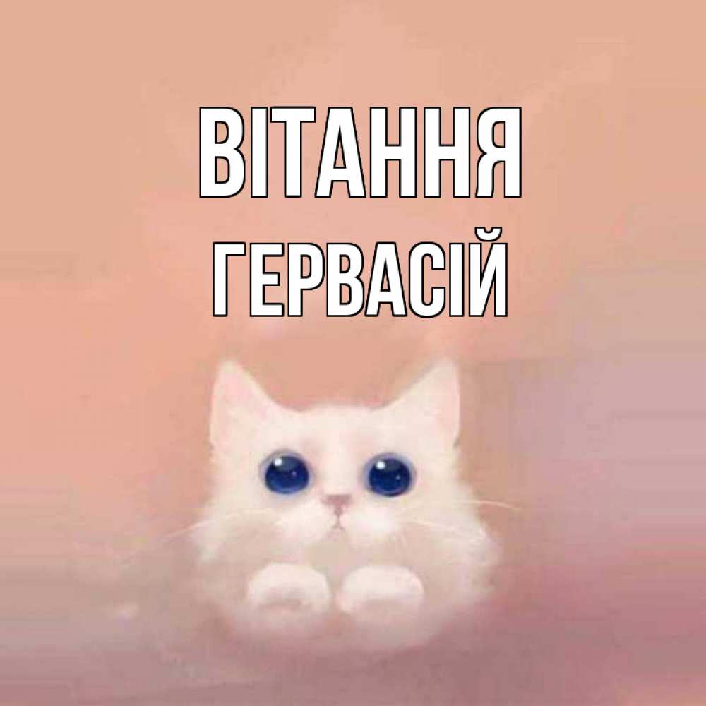 Открытка на каждый день з підписом, Гервасій Вітання котик белый в полете Прикольна листівка з побажанням онлайн скачати безкоштовно 