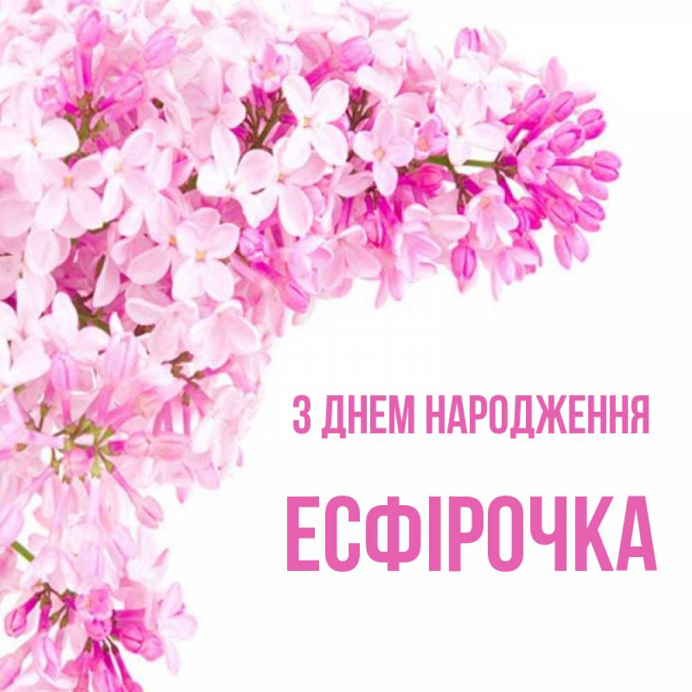 Открытка на каждый день з підписом, Есфірочка З Днем народження Сирень на белом фоне Прикольна листівка з побажанням онлайн скачати безкоштовно 