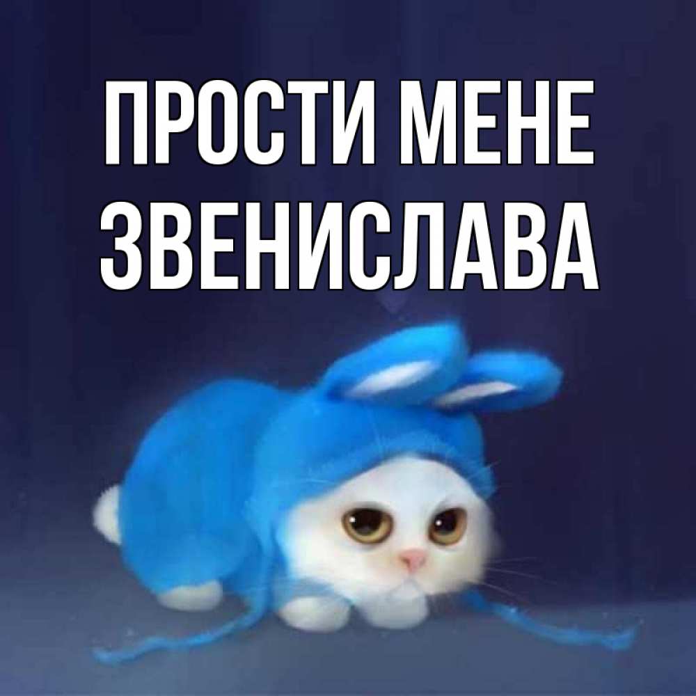Открытка на каждый день з підписом, Звенислава Прости мене невинный котозай просит прощения Прикольна листівка з побажанням онлайн скачати безкоштовно 