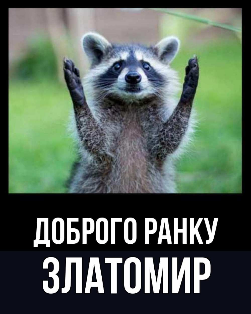 Открытка на каждый день з підписом, Златомир Доброго ранку хорошее настроение утречком Прикольна листівка з побажанням онлайн скачати безкоштовно 