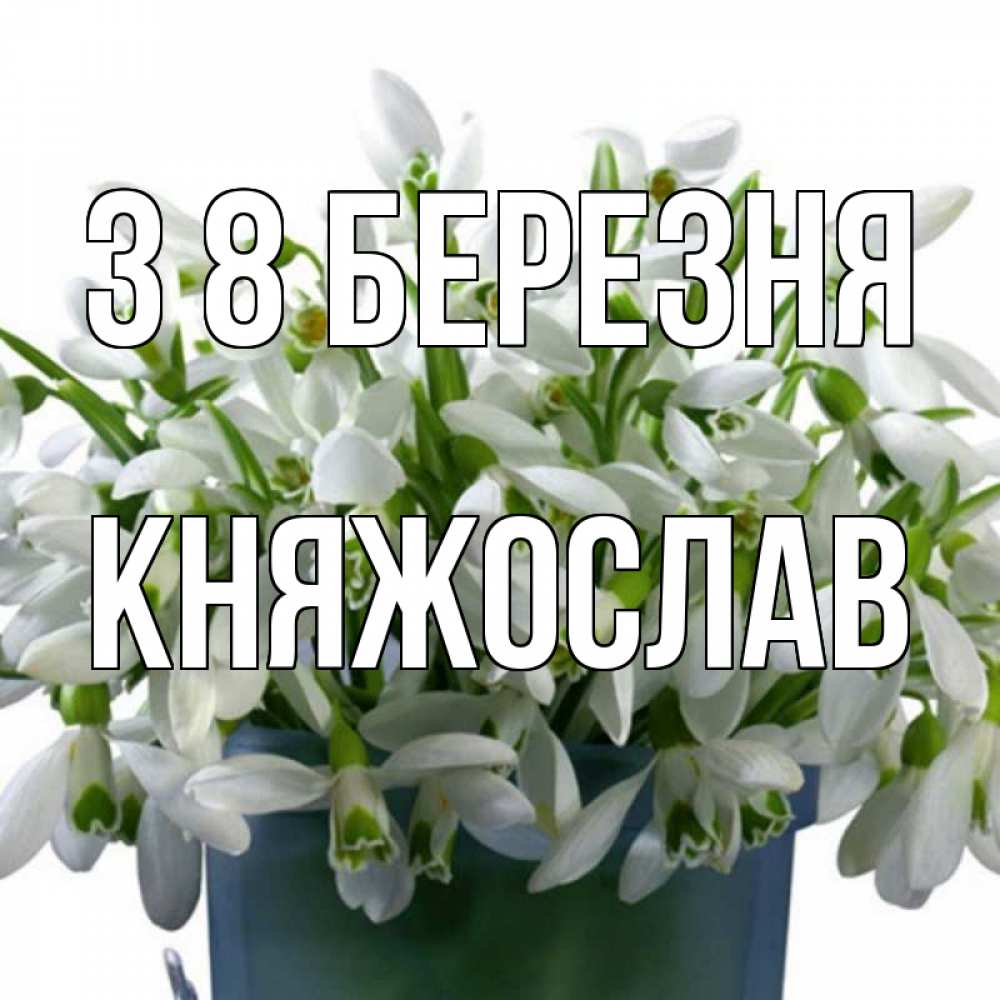 Открытка на каждый день з підписом, Княжослав З 8 БЕРЕЗНЯ цветы к международному женскому дню Прикольна листівка з побажанням онлайн скачати безкоштовно 