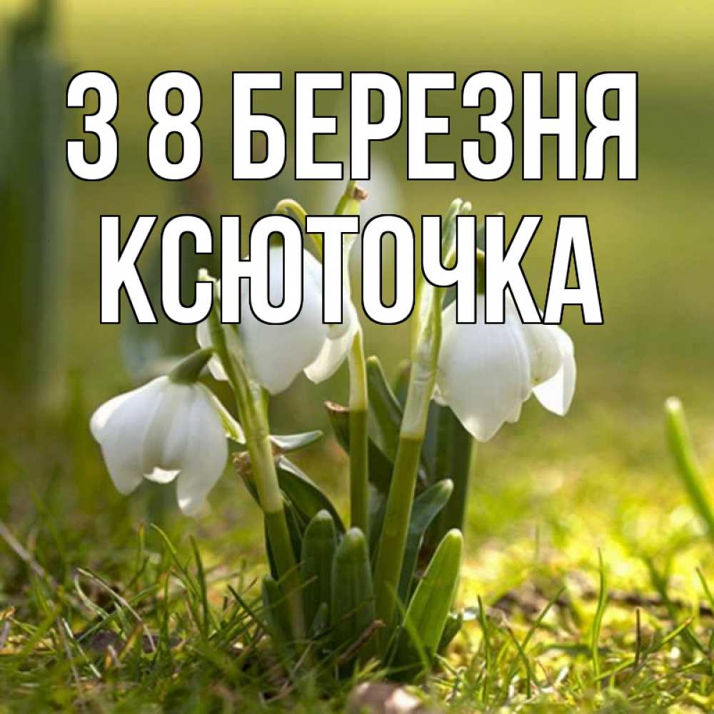 Открытка на каждый день з підписом, Ксюточка З 8 БЕРЕЗНЯ ранние цветы 2 Прикольна листівка з побажанням онлайн скачати безкоштовно 