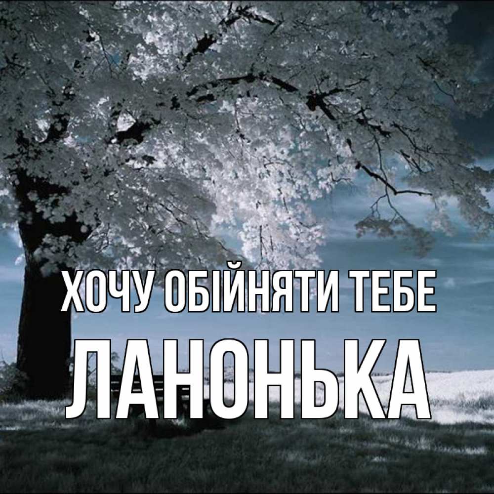 Открытка на каждый день з підписом, Ланонька Хочу обійняти тебе дерево Прикольна листівка з побажанням онлайн скачати безкоштовно 