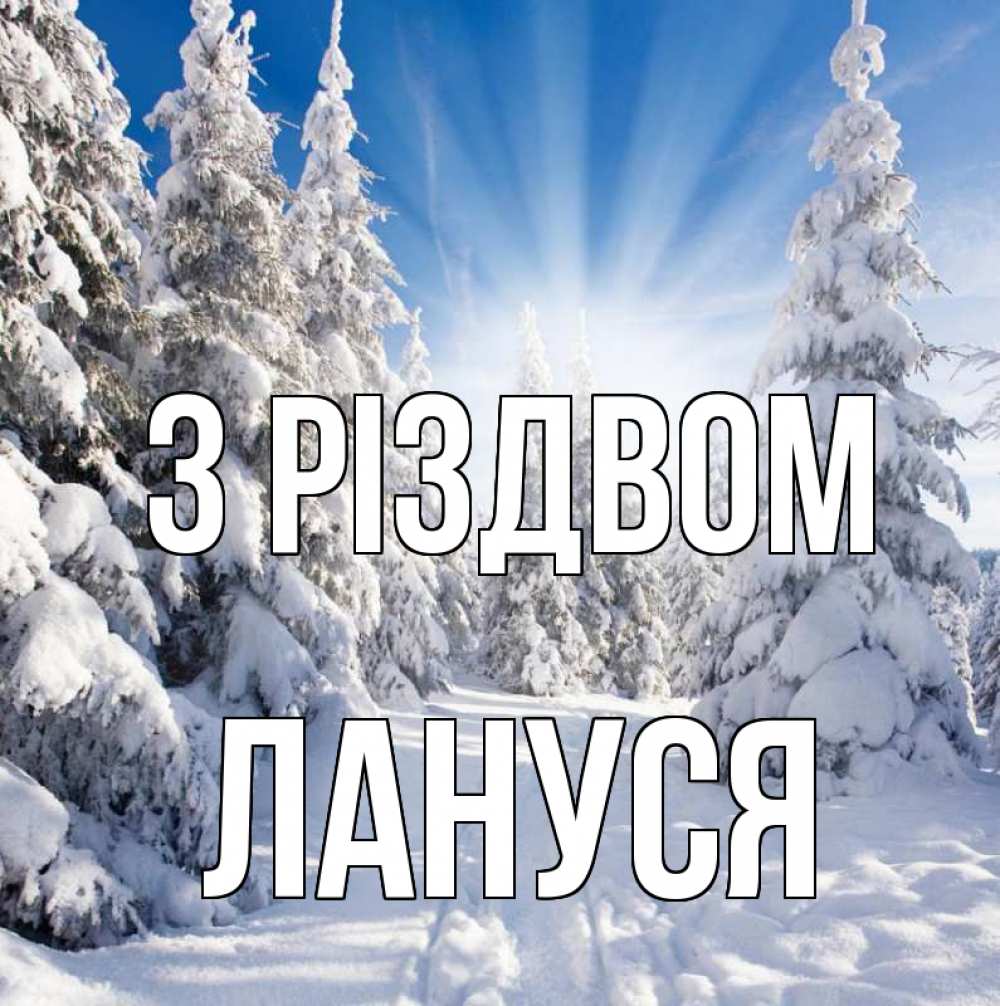 Открытка на каждый день з підписом, Лануся З Різдвом зима, лес Прикольна листівка з побажанням онлайн скачати безкоштовно 