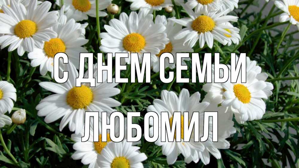 Открытка на каждый день з підписом, Любомил С днем семьи с днем семьи Прикольна листівка з побажанням онлайн скачати безкоштовно 