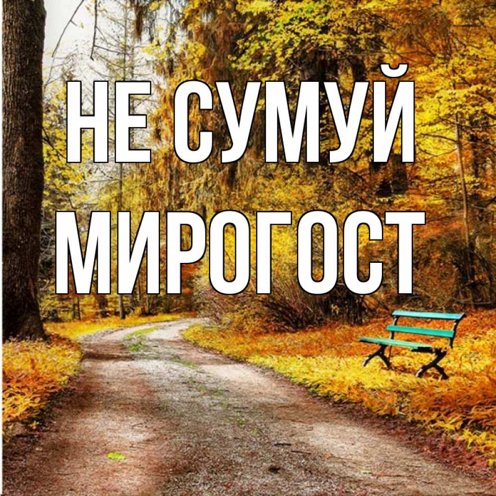 Открытка на каждый день з підписом, Мирогост Не сумуй зеленая лавочка Прикольна листівка з побажанням онлайн скачати безкоштовно 