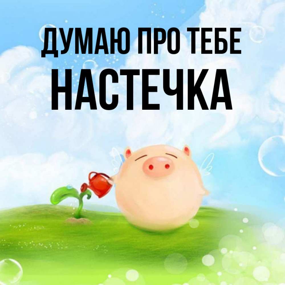 Открытка на каждый день з підписом, Настечка Думаю про тебе позитивная свинюшка Прикольна листівка з побажанням онлайн скачати безкоштовно 