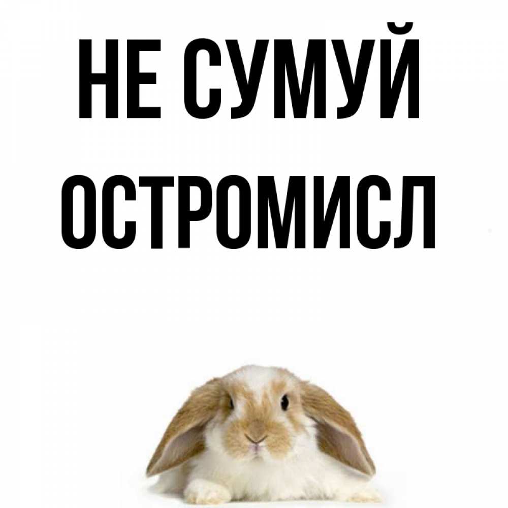 Открытка на каждый день з підписом, Остромисл Не сумуй коричнево белый заяц с большими ушками Прикольна листівка з побажанням онлайн скачати безкоштовно 