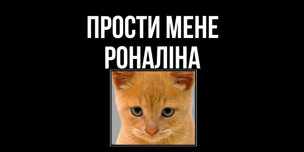 Открытка на каждый день з підписом, Роналіна Прости мене рыжий грустный кот просит прощения Прикольна листівка з побажанням онлайн скачати безкоштовно 