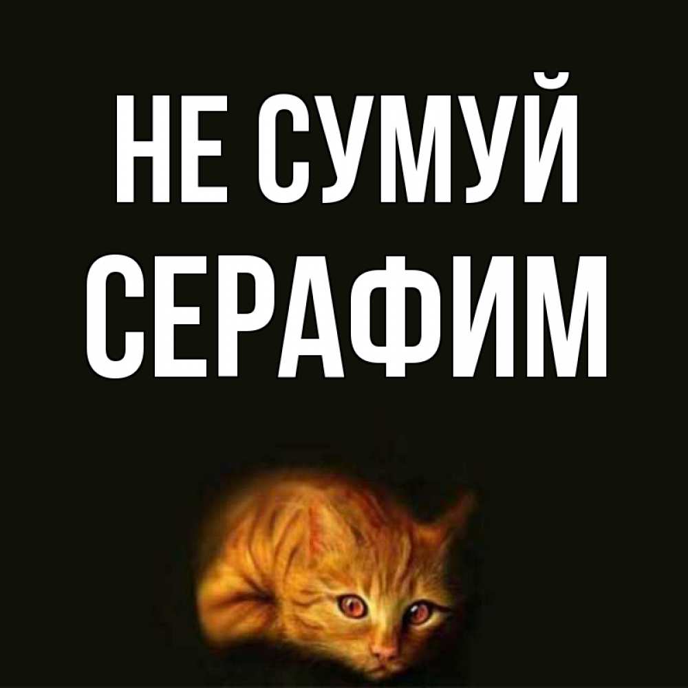 Открытка на каждый день з підписом, Серафим Не сумуй лежащий кот в темноте Прикольна листівка з побажанням онлайн скачати безкоштовно 