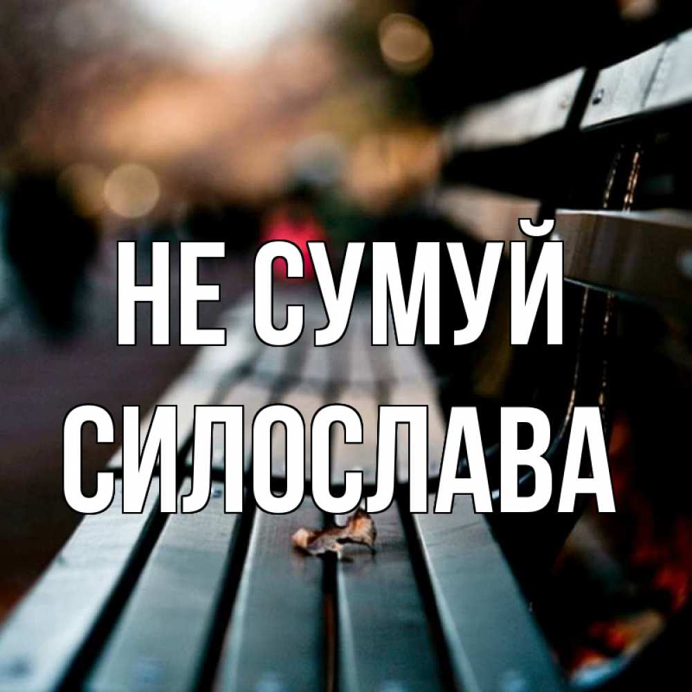Открытка на каждый день з підписом, Силослава Не сумуй размытый фон Прикольна листівка з побажанням онлайн скачати безкоштовно 