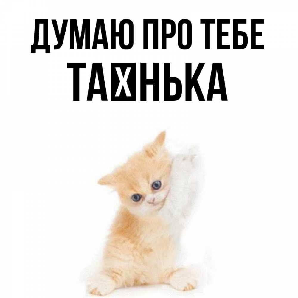 Открытка на каждый день з підписом, Таєнька Думаю про тебе зверушки и милота Прикольна листівка з побажанням онлайн скачати безкоштовно 