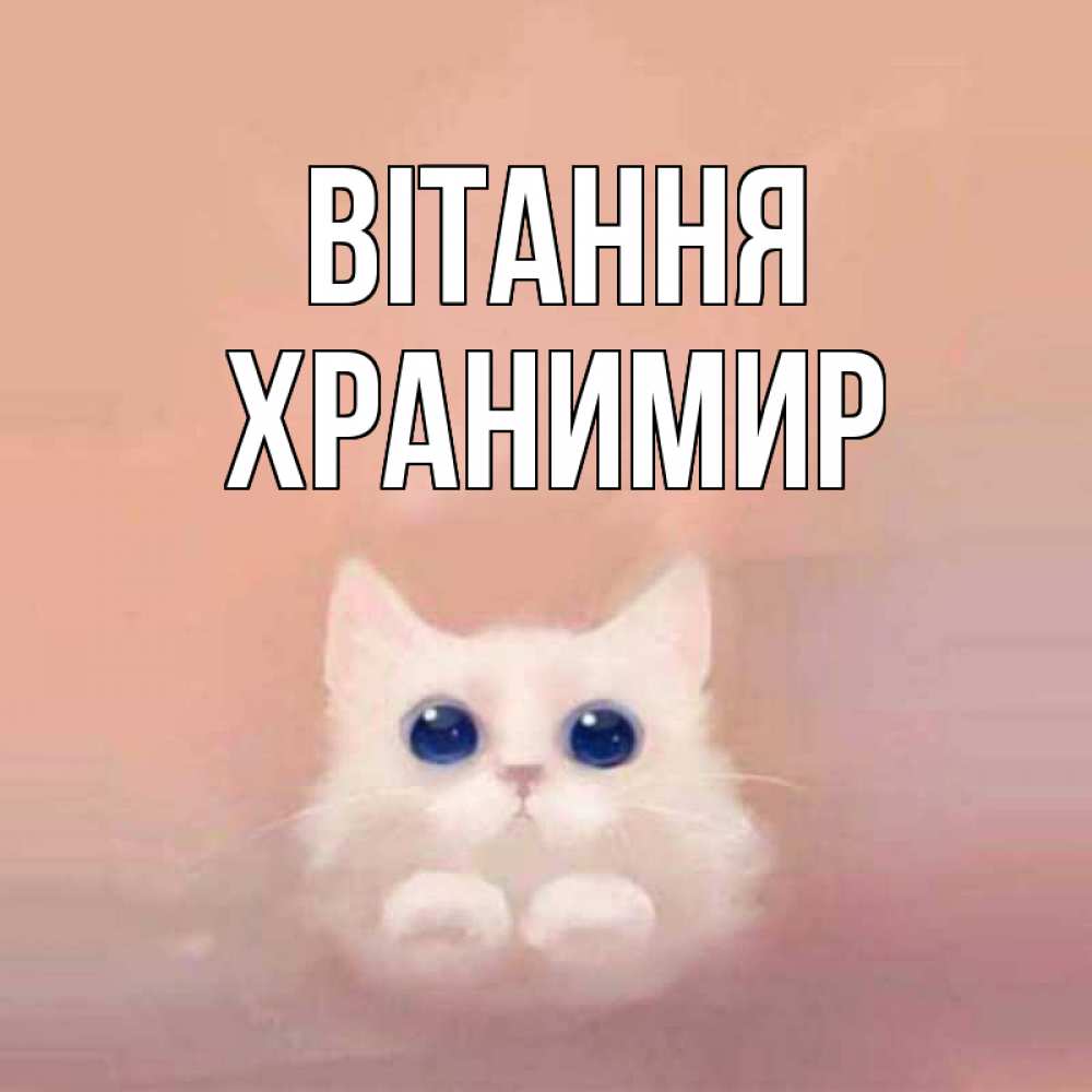 Открытка на каждый день з підписом, Хранимир Вітання котик белый в полете Прикольна листівка з побажанням онлайн скачати безкоштовно 