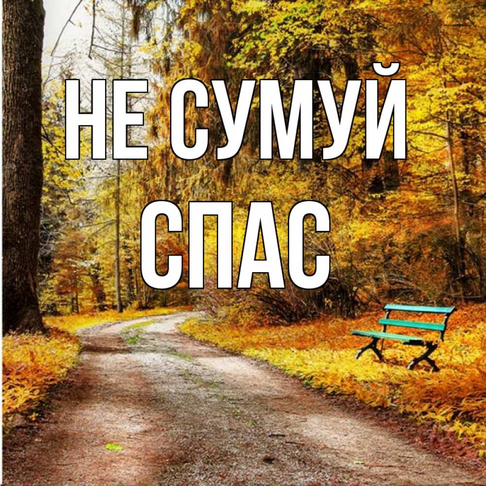 Открытка на каждый день з підписом, Спас Не сумуй зеленая лавочка Прикольна листівка з побажанням онлайн скачати безкоштовно 