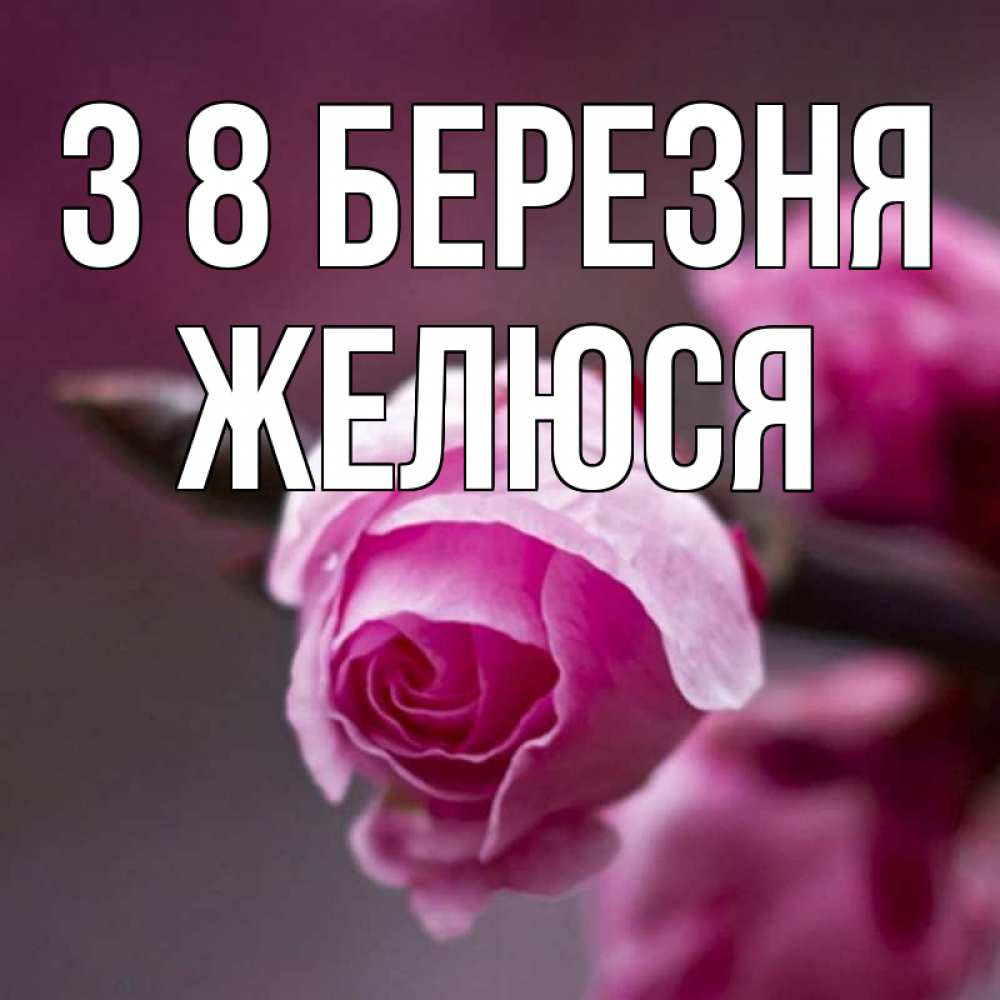 Открытка на каждый день з підписом, Желюся З 8 БЕРЕЗНЯ весна Прикольна листівка з побажанням онлайн скачати безкоштовно 