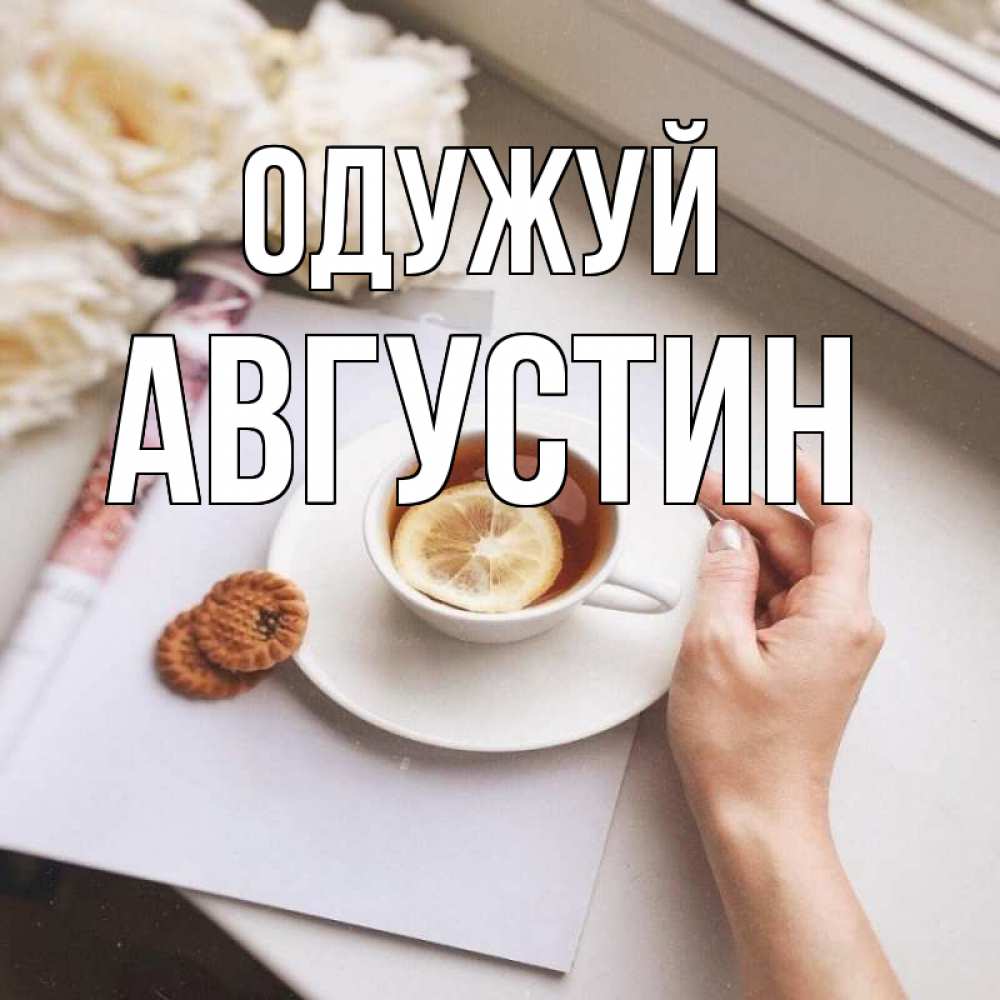 Открытка на каждый день з підписом, Августин Одужуй и печеньками Прикольна листівка з побажанням онлайн скачати безкоштовно 