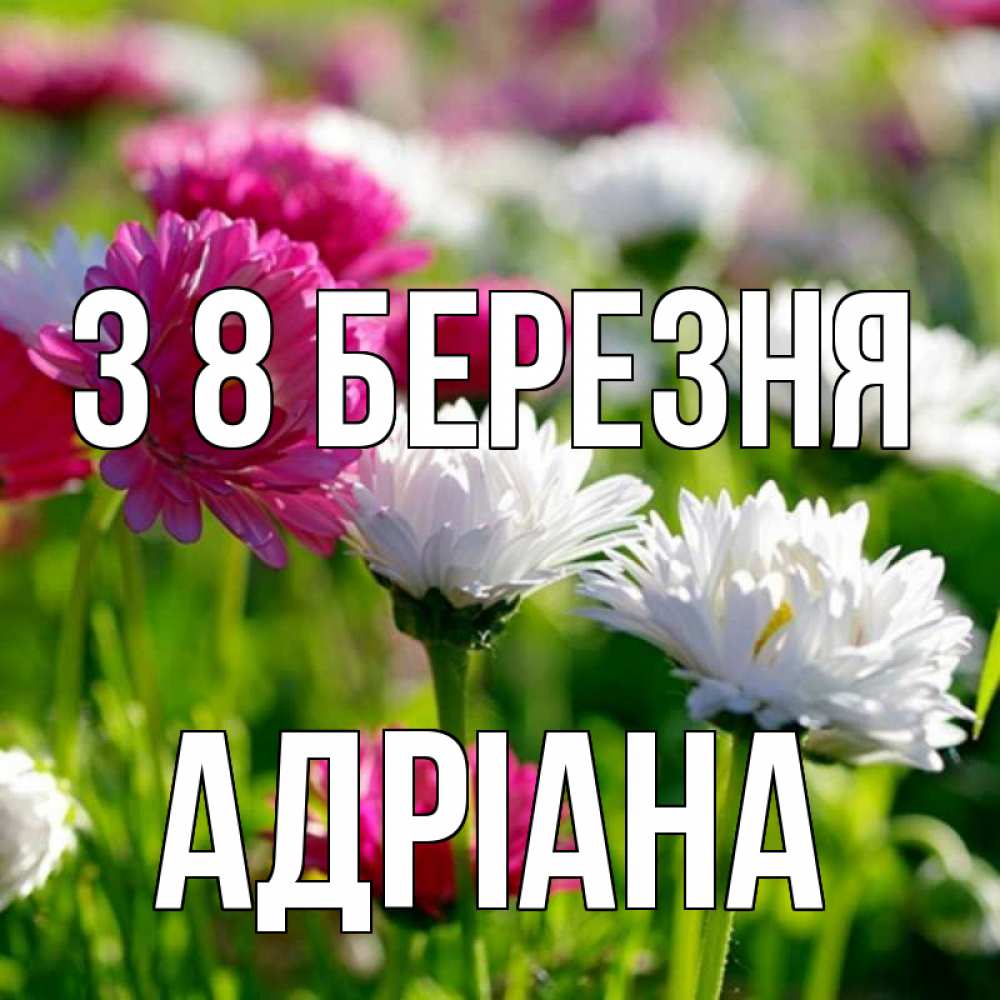 Открытка на каждый день з підписом, Адріана З 8 БЕРЕЗНЯ международный женский день 1 Прикольна листівка з побажанням онлайн скачати безкоштовно 