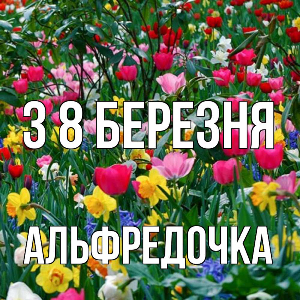 Открытка на каждый день з підписом, Альфредочка З 8 БЕРЕЗНЯ с международным женским днем поздравления для женщины Прикольна листівка з побажанням онлайн скачати безкоштовно 