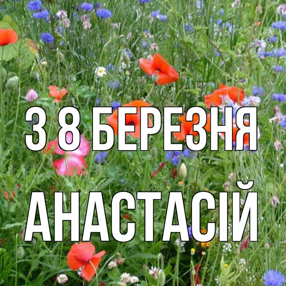 Открытка на каждый день з підписом, Анастасій З 8 БЕРЕЗНЯ международный женский день 4 Прикольна листівка з побажанням онлайн скачати безкоштовно 