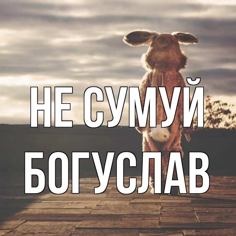 Открытка на каждый день з підписом, Богуслав Не сумуй со спины Прикольна листівка з побажанням онлайн скачати безкоштовно 