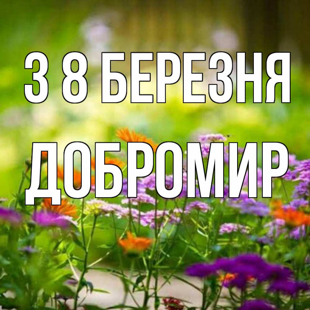 Открытка на каждый день з підписом, Добромир З 8 БЕРЕЗНЯ цветы Прикольна листівка з побажанням онлайн скачати безкоштовно 