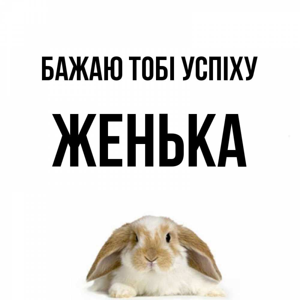 Открытка на каждый день з підписом, Женька Бажаю тобі успіху открытки с произвольным текстом который можно вставить в открытку и создать ее самостоятельно бесплатно онлайн Прикольна листівка з побажанням онлайн скачати безкоштовно 