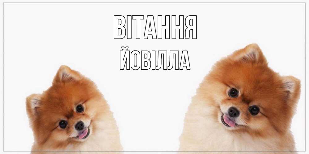 Открытка на каждый день з підписом, Йовілла Вітання привет Прикольна листівка з побажанням онлайн скачати безкоштовно 