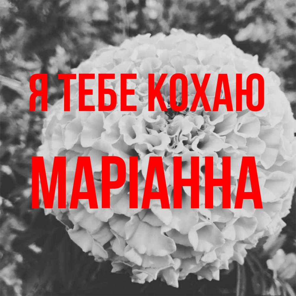 Открытка на каждый день з підписом, Маріанна Я тебе кохаю подпись Прикольна листівка з побажанням онлайн скачати безкоштовно 